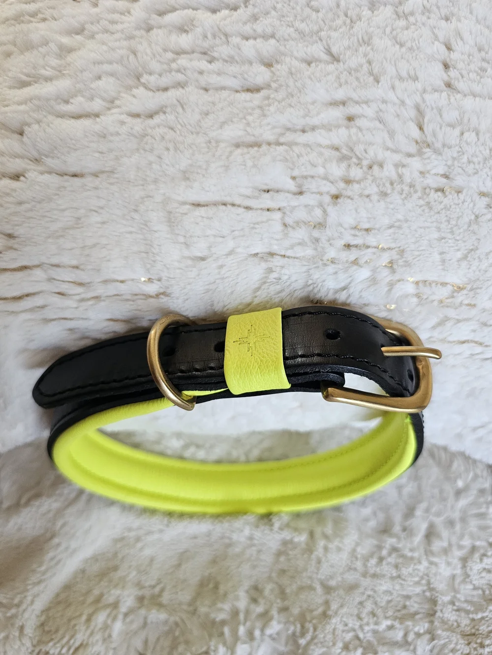 Hand Made In England, Real Leather!India Hicks Black and Neon Yellow Dog Collar